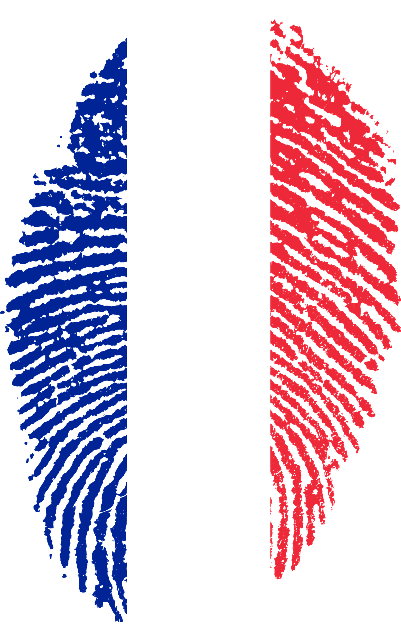 ВНЖ для родителя несовершеннолетнего  гражданина Франции