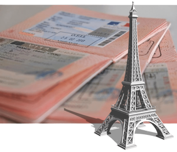 Иммиграция во Францию. Что в новом законе?| адвокат Алла Дюка, Париж