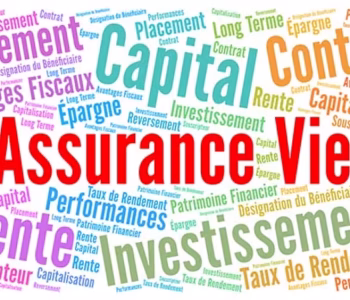 Стоит ли оформлять страховку жизни (Assurance vie) во Франции? | Анна Гриневич