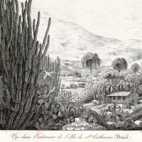 Хорис Логгин Андреевич