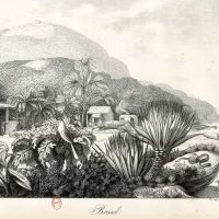 Хорис Логгин Андреевич