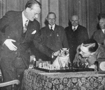 Тайна гибели Александра Алехина