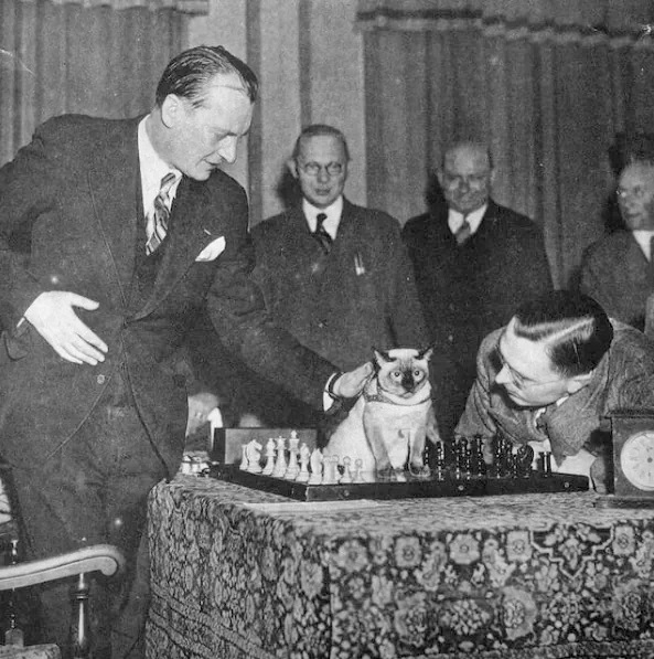 Тайна гибели Александра Алехина