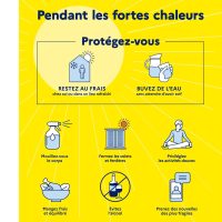 ПЕРИОД CANICULE (КАНИКЮЛЬ) ВО ФРАНЦИИ:  КАК ЗАЩИТИТЬ СЕБЯ И СВОИХ БЛИЗКИХ